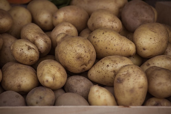 Импортного картофеля может стать меньше
