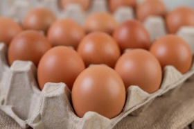 ФАС возбудила дела в отношении нескольких производителей куриных яиц