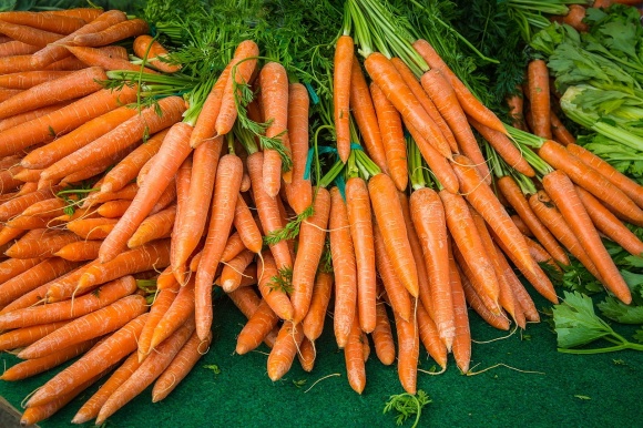 «Магнит» в 2022 году увеличит собственное производство моркови
