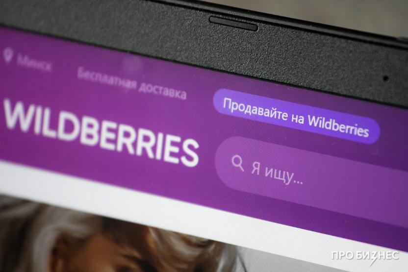 Глава DNS предупредил Бакальчук, что она может потерять Wildberries после объединения с Russ