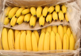 Ангола, Индия и Нигерия могут полностью заместить для России бананы из Эквадора