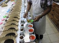 Чайная индустрия Кении: секреты устройства и путь на российский рынок 