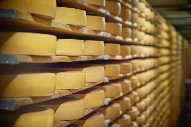 Россия за десять лет увеличила производство сыра в два раза
