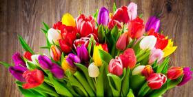 Самые популярные цветы в России на 8 марта