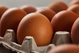Цены на яйца в России начали снижаться
