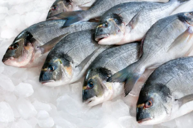 Рынок рыбы и икры нуждается в обелении