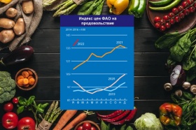 Мировые цены на продовольствие достигли максимальных уровней