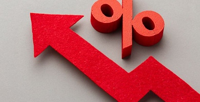 Доля годовых вкладов на Финуслугах в мае достигла рекорда с 2024 года